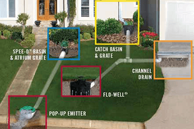 How to Get Rid of Water Grass in Lawn  